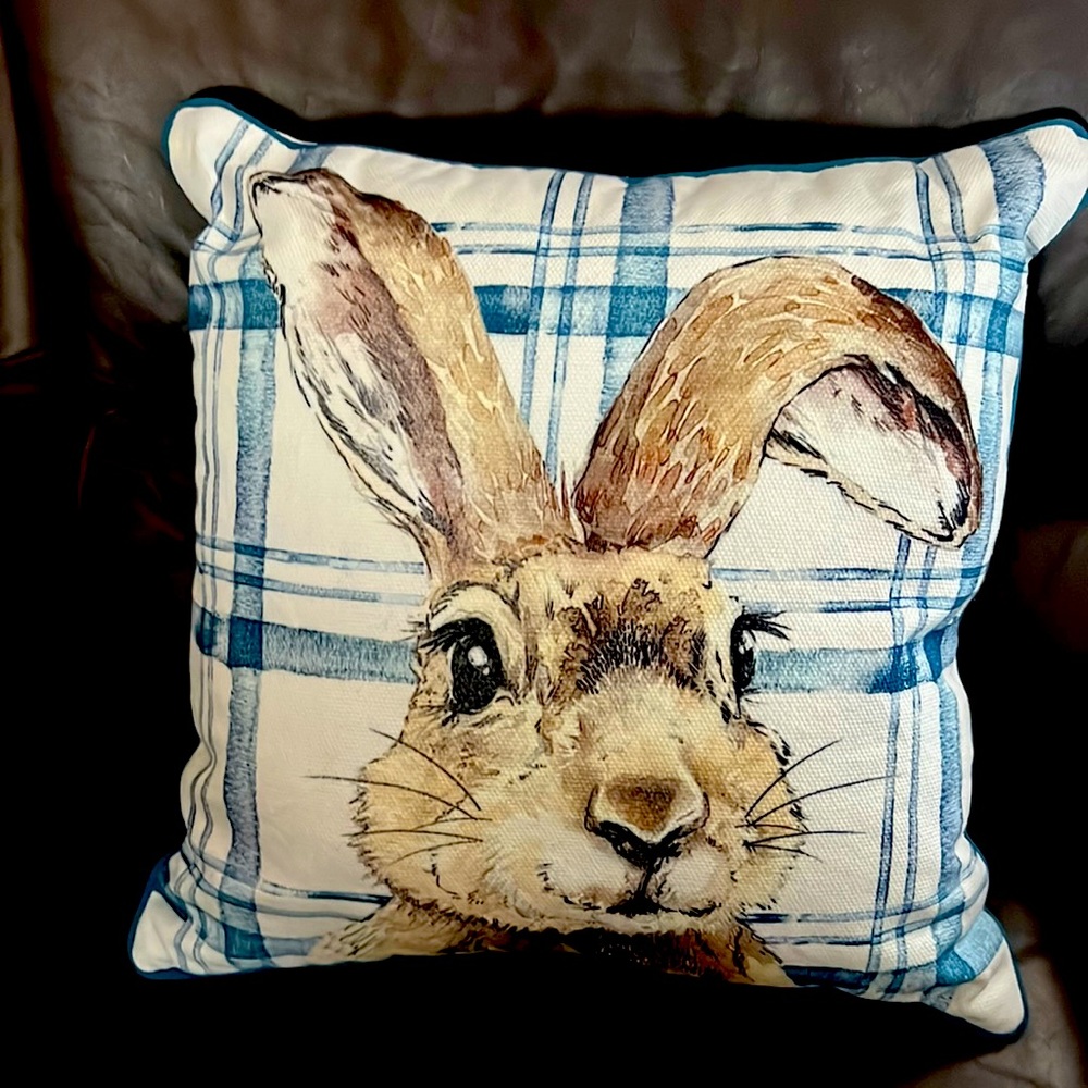 2 Bunny Accent Pillows - NWOT - 17x17 adorable Blue & White pillows